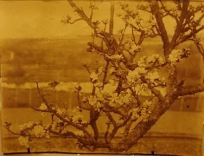 Eugene Atget Rare original Eugene Atget photograph circa 1900