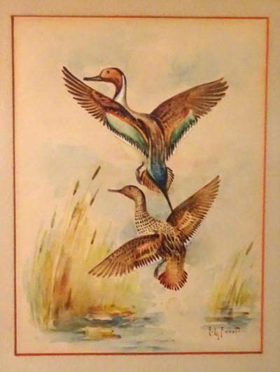 Eugene LaForet Northern Pintails Rising by Eugene LaForet Watercolor New York City 1945