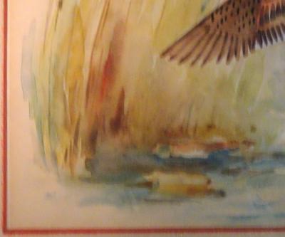 Eugene LaForet Northern Pintails Rising by Eugene LaForet Watercolor New York City 1945