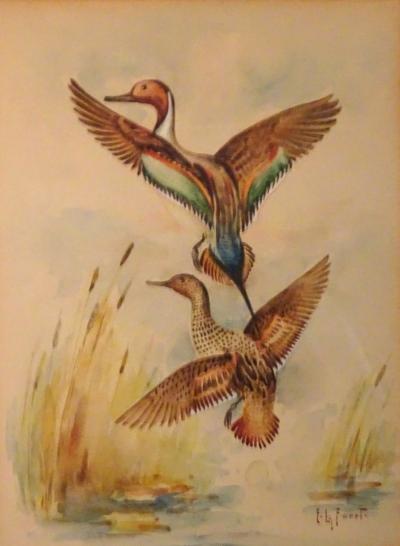 Eugene LaForet Northern Pintails Rising by Eugene LaForet Watercolor New York City 1945