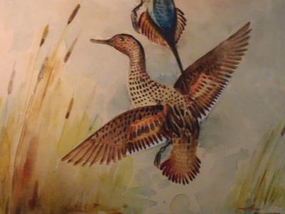 Eugene LaForet Northern Pintails Rising by Eugene LaForet Watercolor New York City 1945