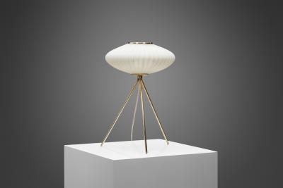 European Modern Tripod Table Lamp with Opal Glass Shade Europe 1960s