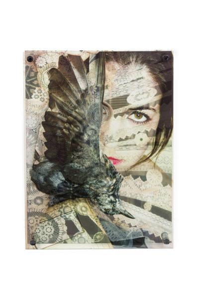 Eva Petric Eva Petric Contemporary Abstract Mixed Media Artwork Titled Birdy 2017 