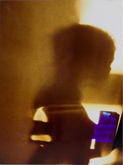 Eva Petric Eva Petric Contemporary Abstract Mixed Media Artwork Titled Shadow Choreograp