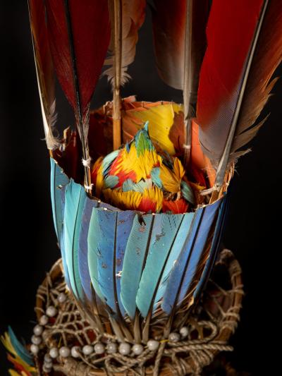 Exceptional Group of Three Amazonian Ceremonial Feather Headdresses