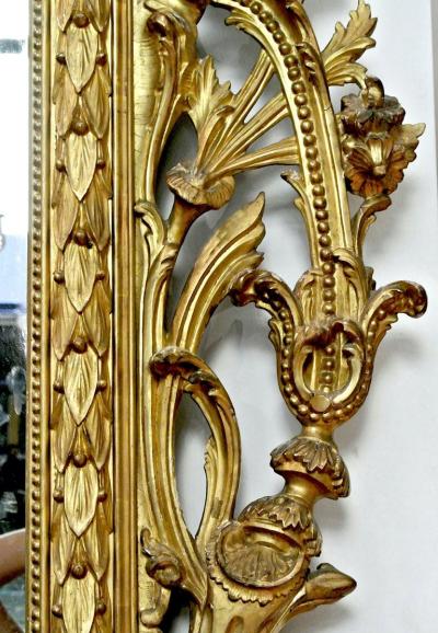 Exceptional Italian 18 Century Carved Gilt Wood Mirror Tuscany 1740
