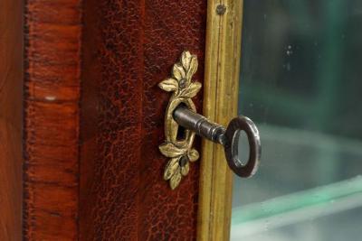 Exquisite French Louis XV Ormolu Mounted Kingwood Vitrine Cabinet c 1880