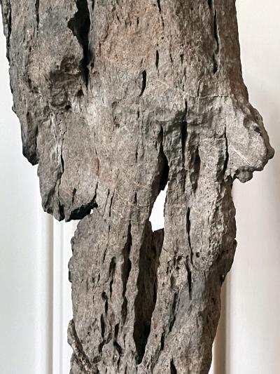 Extraordinary Chinese Scholar Rock Ying Stone on Stand