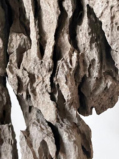 Extraordinary Chinese Scholar Rock Ying Stone on Stand