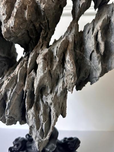 Extraordinary Chinese Scholar Ying Stone on Stand with Collector Seal