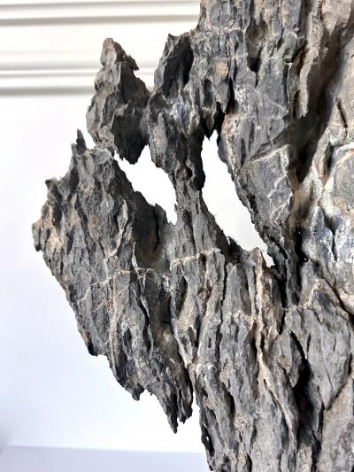 Extraordinary Chinese Scholar Ying Stone on Stand with Collector Seal