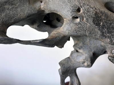 Extraordinary Chinese Taihu Scholar Stone Rare Form on Display Stand