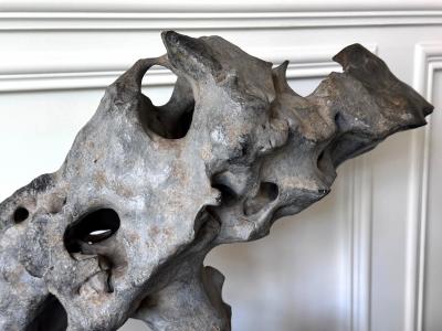 Extraordinary Chinese Taihu Scholar Stone Rare Form on Display Stand