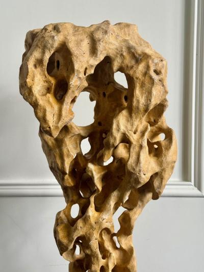 Extraordinary Large Chinese Scholar Rock Yellow Taihu Stone on Wood Stand
