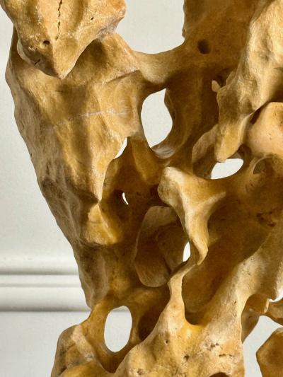 Extraordinary Large Chinese Scholar Rock Yellow Taihu Stone on Wood Stand