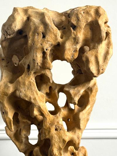 Extraordinary Large Chinese Scholar Rock Yellow Taihu Stone on Wood Stand