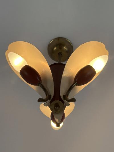 Extremely Rare Elegant Mid Century Modern Pendant Lamp or Hanging Light 1960s