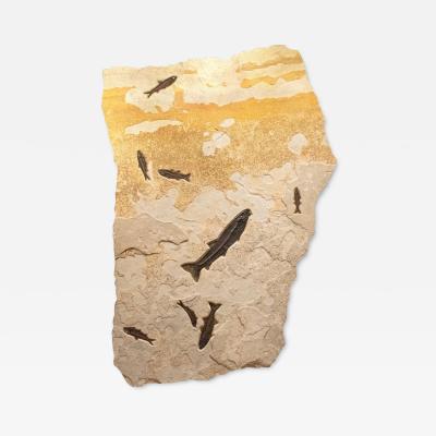 FOSSIL FISH MURAL 3540GM
