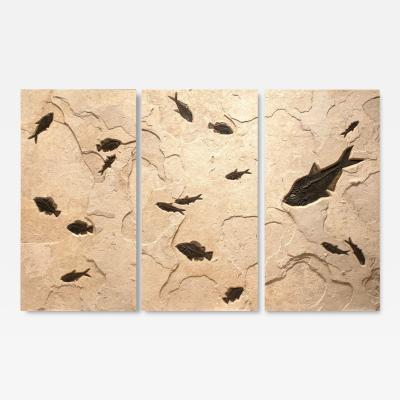 FOSSIL FISH TRIPTYCH MURAL 9006GM
