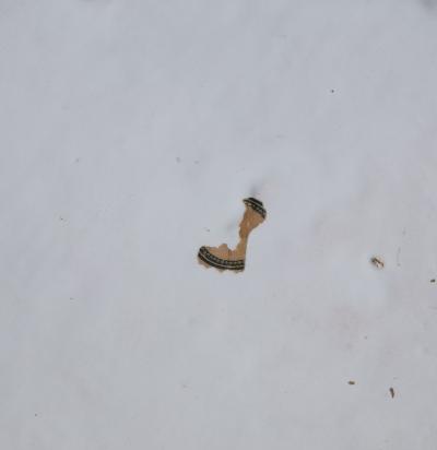 FRENCH 18TH CENTURY LARGE OVAL EARTHENWARE SERVING DISH WITH A SHAPED EDGE