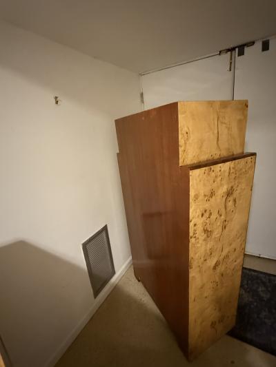 FRENCH ART DECO BURLWOOD CABINET WITH STYLIZED WOMAN WALKING PANTHER CABINET