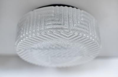 FROSTED AUSTRIAN FLUSH MOUNT