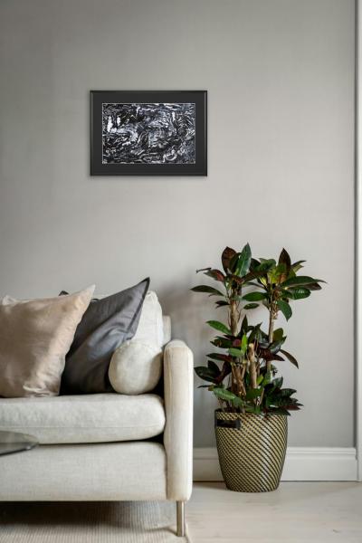 Fabia Kleinpeter Garden Eden