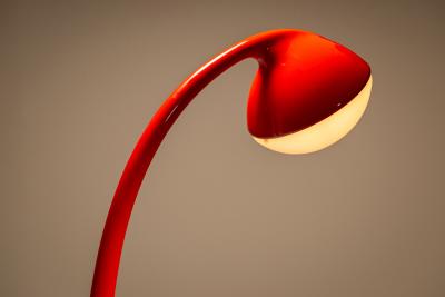 Fabio Lenci DL5 Lampione Floor Lamp in Red by Fabio Lenci for Guzzini Italy 1971