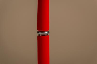 Fabio Lenci DL5 Lampione Floor Lamp in Red by Fabio Lenci for Guzzini Italy 1971
