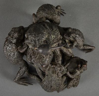 Family of Toads