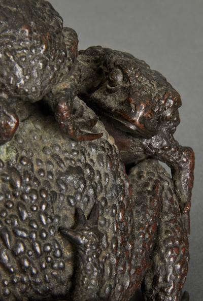 Family of Toads