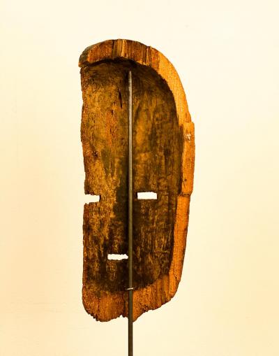 Fang Mask Fragment Africa