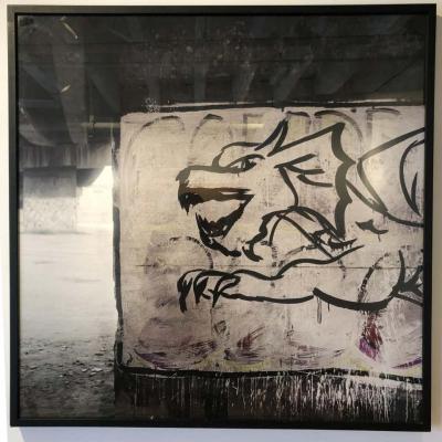 Felipe Varanda Contemporary Photography Inscri o Zoomorfa by Felipe Varanda Limited Edition