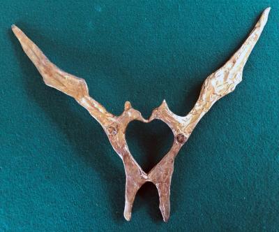 Felix Agostini Felix Agostini Wall Sconces