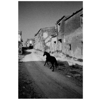 Ferrante Ferranti RUINS 1987 Dyptich of Fine Art Photographs