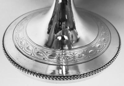 Festive English Victorian Classical Sterling Silver Goblet 1873