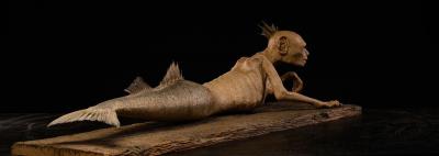 Fidji Mermaid Atlantis