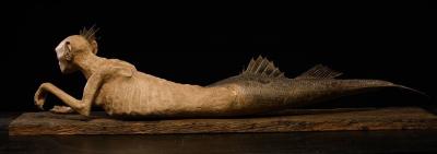 Fidji Mermaid Atlantis