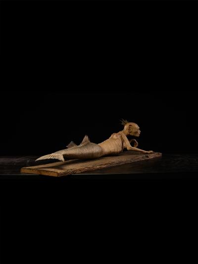 Fidji Mermaid Atlantis