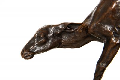 Fine American West Bronze Sculpture Fawn by Alexander Phimister Proctor