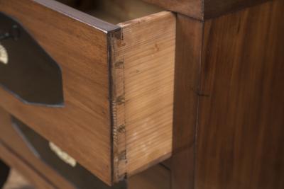 Fine Austrian Neoclassic Biedermeier Chest