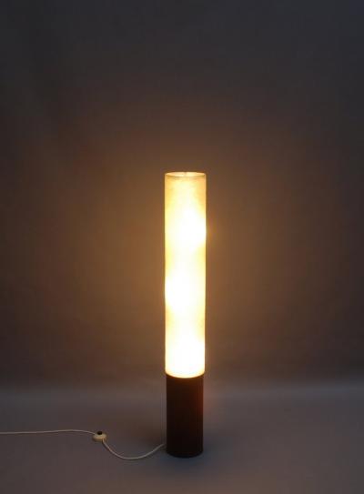 Fine French 1950s Veneered Metal and Plastic Floor Lamp