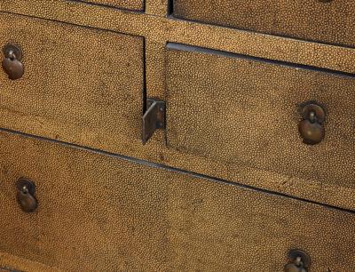 Fine Pair of Chinese Shagreen Cabinets