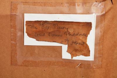 First Night at the Opera by Ethel Louise Paddock