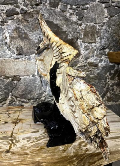 Fish Sculpture Teak Root Handcarved On Black Laquered Base Indonesia 2023