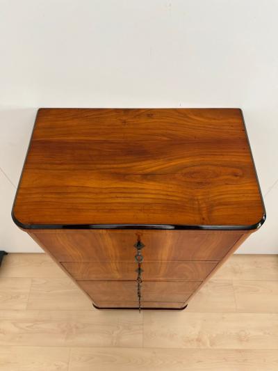 Five Drawer Biedermeier Chiffonier Cherry Veneer South Germany circa 1820