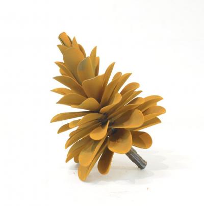 Floyd Elzinga 23 525