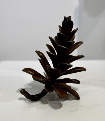Floyd Elzinga 25 592 Pine Cone
