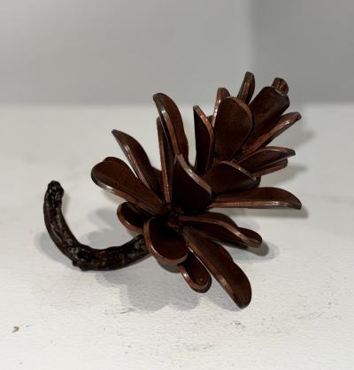 Floyd Elzinga 25 593 Pine Cone