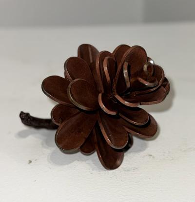 Floyd Elzinga 25 593 Pine Cone